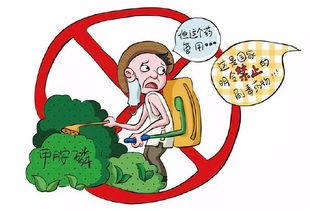 初級(jí)農(nóng)產(chǎn)品原料的食品安全風(fēng)險(xiǎn)與農(nóng)藥管理探討